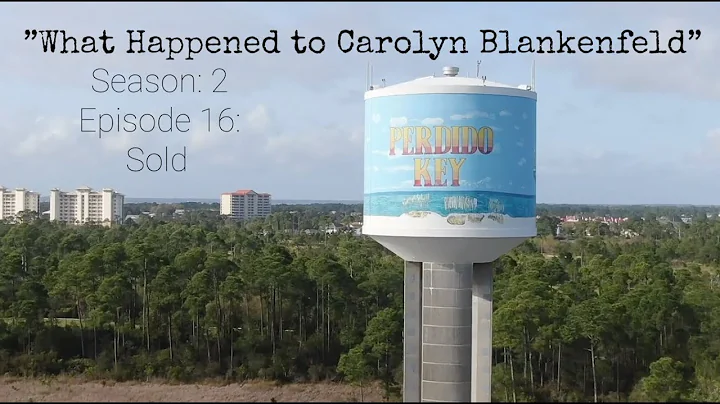 Ashes to Ash: What Happened to Carolyn Blankenfeld...
