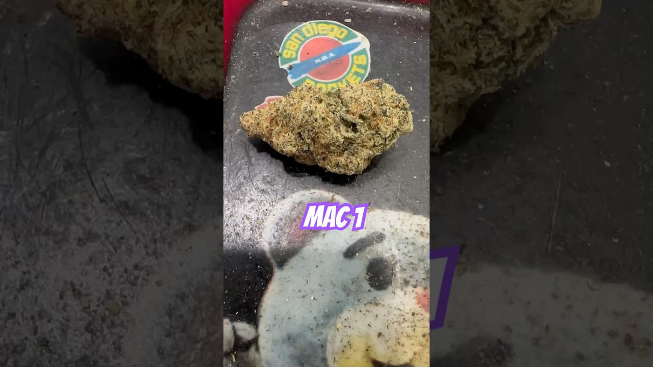 Mac 1 strain review