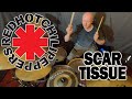 red hot chili peppers - scar tissue (drum cover)