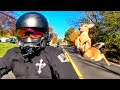 "OH DEER!" - NOBODY Said the BIKE LIFE Would be EASY!!! [Ep.#75]