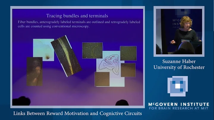 Suzanne Haber, Links Between Reward Motivation and...