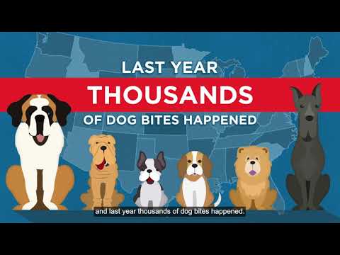 Videó: Az állatorvosok figyelmeztetnek egy veszélyes kutya terjedésének terjedésére