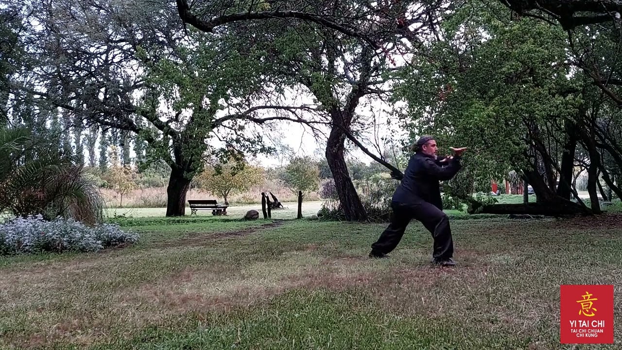 Forma 16 Combinada | Zeng Nailiang Tai Chi