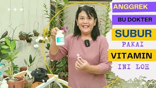 VITAMIN ANGGREK CUMA 20 RIBU, MEMBUAT BUNGANYA MENJADI RIMBUN