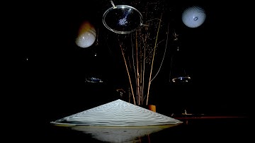 Idrodendro  DigitalLife