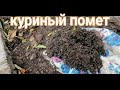 🕓❓КУРИНЫЙ ПОМЕТ. КАК ИМ УДОБРЯТЬ. ОСЕННЕЕ ВНЕСЕНИЕ В ОГОРОД И САД. НОРМА