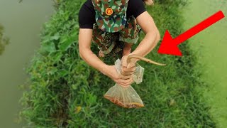 Wild Fishing, I Caught It With This Thing 1172025 - Pewkapi