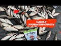 Мормышка – самая уловистая снасть