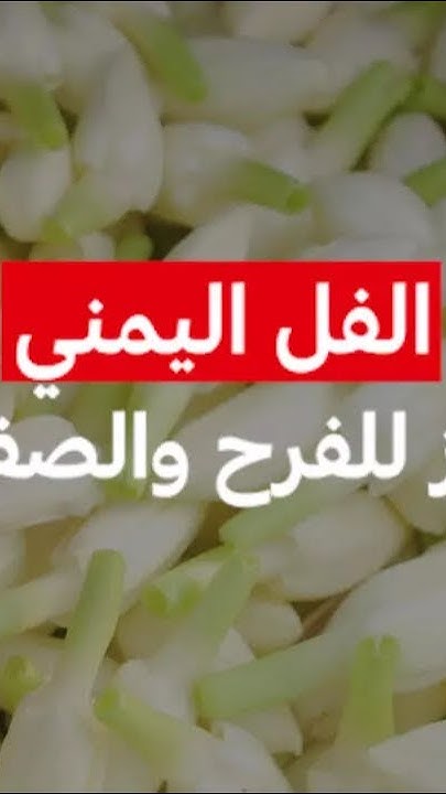          / MCD
 - نشر قبل 29 دقيقة