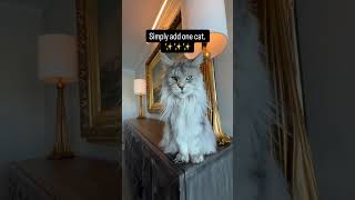 No Wayfair or Pottery Barn needed! #catreels #mainecoon #catlovers