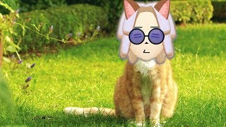 俺の庭は… 本当に俺の庭…？【マリオカート８デラックス 実況：Part３１】
