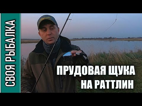 Прудовая щука на раттлин