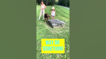 Owner is trying place command after my instructions! Watch and see what happens!