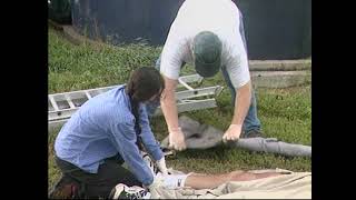 St. John Ambulance First Aid (2000) - Secondary 3.25 - Closed Fracture of the Upper Leg
Produced by The Priory of Canada of the Most Venerable Order of the Hospital of St. John of Jerusalem, 2000.
St. John Ambulance - First Aid on the Scene (2000) Playlist: https://www.youtube.com/playlist?list=PLnWPymzAhLz-3Mf282EFpL5J-lrjZmH5j
Current First Aid Course: https://www.youtube.com/playlist?list=PLvd0isBh6beQJ1YrlssqzKoXY_aw-qvoW St. John Ambulance First Aid (2000) - Secondary 3.25 - Closed Fracture of the Upper Leg