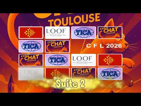 Expo chat Toulouse 2026 SUITE 2