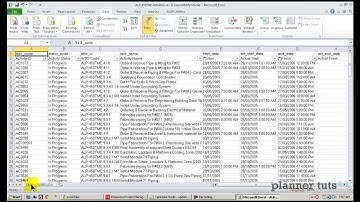 Primavera P6 Tutorial  Importing Primavera Updates from an Excel Spreadsheet