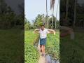 ഡാൻസ് കളിച്ച് പാടത്ത് വീണു😱😔 #comedy #dancevideo #trendingnow #dailyshorts #autodriver #kerala