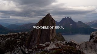 Download Lagu Wonders of Senja MP3