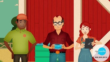 iTrade Network   Traceability  2D Animation