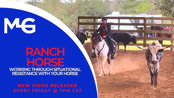 Working Through Situational Resistance With Your Horse | The Horse Guru - Michael Gascon