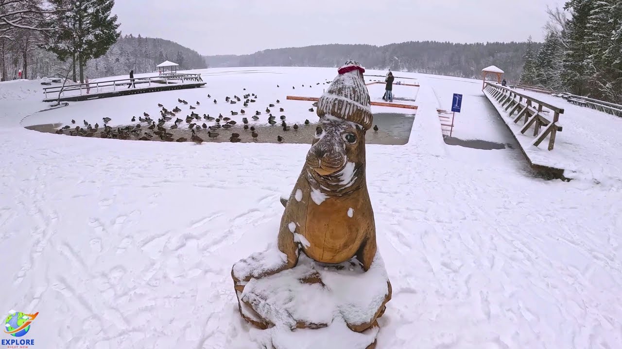 4K Walking Tour – Balsys lake, Vilnius | Peaceful Winter Nature Walk