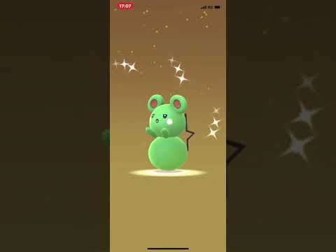ポケモンGO 卵割りイースターイベント 個体値100％に色違いも出ました 2019/04