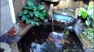 Kolam air terjun terjun filter sederhana
