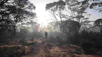 Camping along the Eyre highway