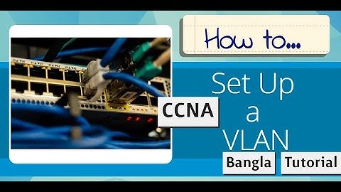 VLAN Configuration Step by Step  Bangla Tutorial