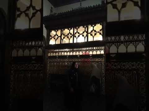 جايلك من آخر الدنيا يا سيد يا بدوي إقبال على مقام شيخ العرب في طنطا