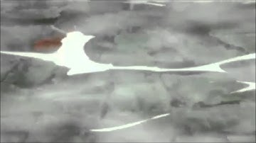 Party mep my part(amv)HD