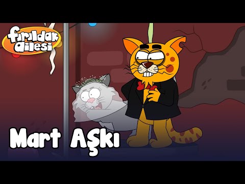 Martta Aşk Başkadır ❤️🐱 - Fırıldak Ailesi +15