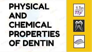 Dentin | Chemical Composition of Dentin | Physical Properties of Dentin
