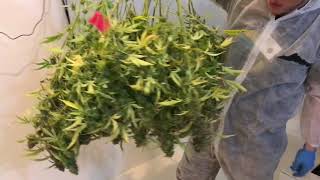 December Harvest at The High Road