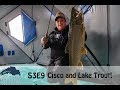 Chasing Cisco and Lake Trout on Lake Superior (BONUS underwater video)