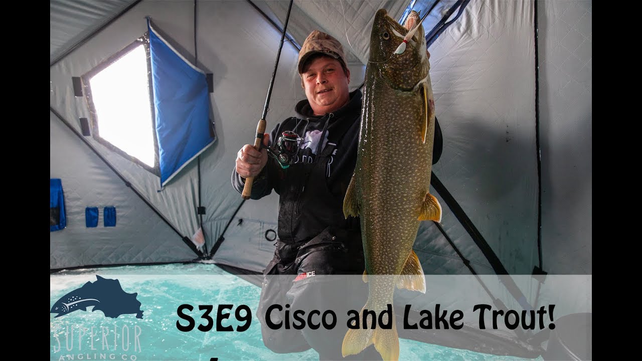 Chasing Cisco and Lake Trout on Lake Superior (BONUS underwater video) 