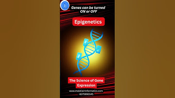 What is Epigenetics? | The Science of Gene Expression Beyond DNA #biology #biotech #genetics