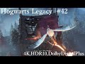 #42 - Hogwarts Legacy (4K , HDR10 , DolbyDigitalPlus) ホグワーツ・レガシー