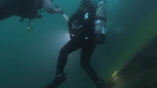 Night dive at Dutch by Jim Ryan 41 views 4 years ago 8 minutes, 15 seconds