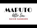 Maputo [DAVID SANBORN] [alto saxophone]