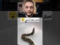 ثعبان يمتلك رأسين سبحان الله عجائب غرائب غموض 