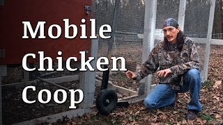 Is it possible to free range chickens on a 1 acre suburban lot? We show you our backyard chicken coop set up, including our mobile 