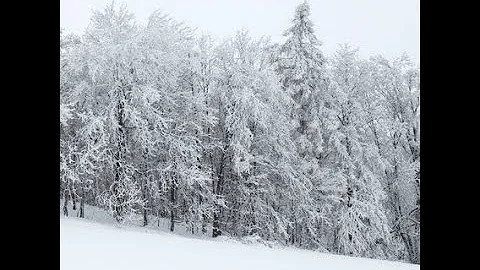 Michael Fairbrother - Songs For A Winter's Day (2012) [Full Album]