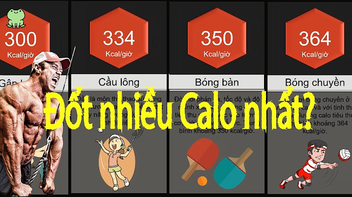 Chơi cầu lông tốn bao nhiêu calo năm 2024