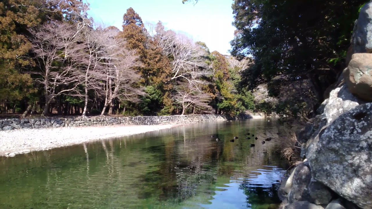 伊勢神宮 五十鈴川 Youtube
