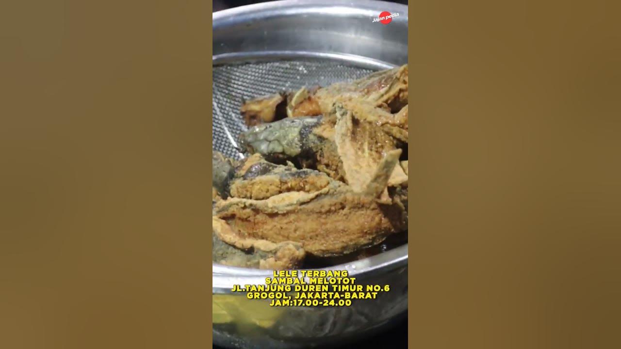 LELE TERBANG SAMBAL MELOTOT TANJUNG DUREN! FULL VIDEO DI YOUTUBE JAJAN PEDIA!!