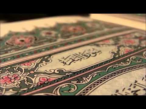 سورة البقرة   الشيخ الفاتح عثمان الزبير