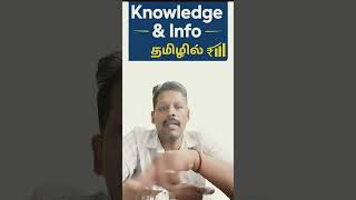 GSTR-2B Download → Excel → TallyPrime | Full Automation 🔥