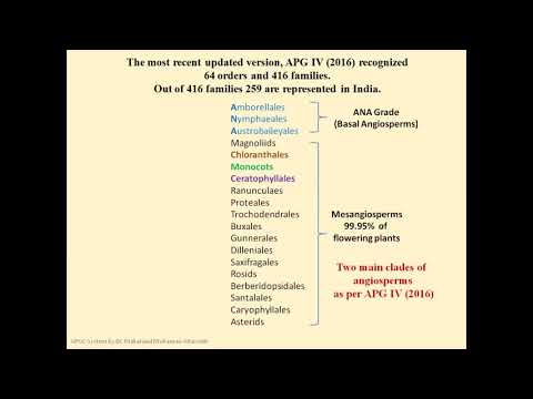 Angiosperm Phylogeny Group Classification System (APG)