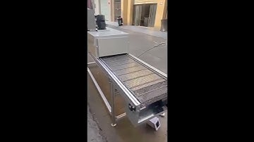 Tunnel furnace automatic high-temperature conveying drying line, stainless steel mesh belt food drye